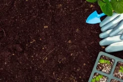 BIOVITA SURT TORV för blåbär och syraälskande växter 3,5-4,5 pH 20 l