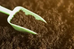 BIOVITA SURT TORV för blåbär och syraälskande växter pH 3,5-4,5 80L