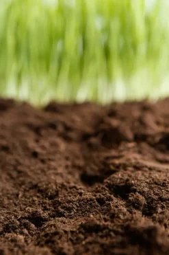 BIOVITA SURT TORVSUBSTAT för blåbär och sura växter 5L