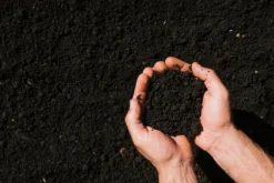 BIOVITA SURT TORVSUBSTAT för blåbär och sura växter 5L