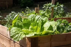 BIOVITA TRÄDGÅRDSKOMPOST 40L EKOLOGISK NATURLIG ORGANISK GÖDNINGSMEDEL