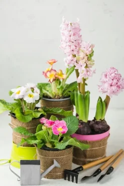 BIOVITA UNIVERSAL BLOMSTERJORD MED OSMOVIT 10L