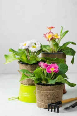 BIOVITA UNIVERSAL BLOMSTERJORD MED OSMOVIT 10L