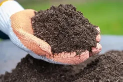 BIOVITA UNIVERSAL BLOMSTERJORD 20 LITER MED GÖDSEL