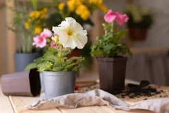 BIOVITA UNIVERSAL BLOMSTERJORD MED OSMOVIT 20L