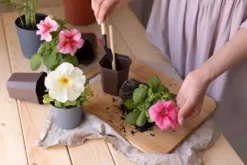 BIOVITA UNIVERSAL BLOMSTERJORD MED OSMOVIT 20L