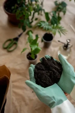 BIOVITA UNIVERSAL BLOMSTERJORD 10 LITER MED GÖDSEL