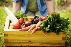 Biovita Universal TORVFRI jord för grönsaker och blommor med kompost 40 l