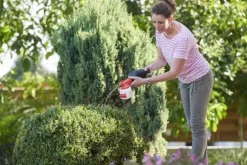 Birchmeier Pulverspruta - Bobby 0.5