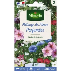 Blandning av doftande blommor - VILMORIN - Frön - Rose - Massif - Sommar