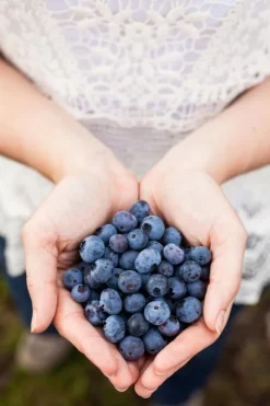 Blåbärs- och tranbärsjord pH 4-5 Biovita 50L
