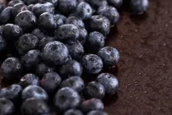 Blåbärs- och tranbärsjord pH 4-5 Biovita 50L