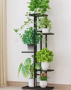 Blomhylla Ficus 43x22x98cm