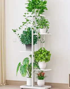 Blomhylla Ficus 43x22x98cm