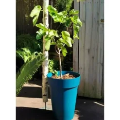 Blomkruka - RIVIERA - SOLEILLA - Plast - H52 x D39 cm - Blå