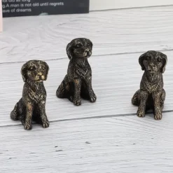 Blomkrukfötter ventilerar rötsäkra rotupphöjda blomkrukfötter för trädgårdsskötsel i hemmet