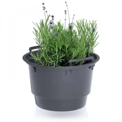 BLOMKRUKSINSATS - SVART 8L - PP-IWKO280