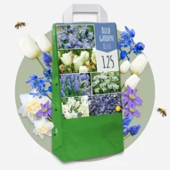Blomlökpaket - Set om 125 - Allium, Narcissus, Tulipa och mer - Blomlökar - Blå