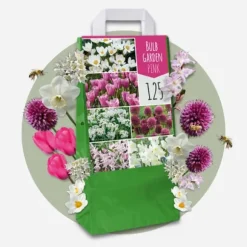 Blomlökpaket - Set om 250 - Allium, Narcissus, Muscari - Blomlökar - Purpur