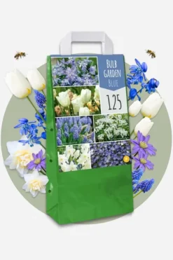 Blomlökpaket - Set om 250 - Allium, Narcissus, Tulipa och mer - Blomlökar - Blå