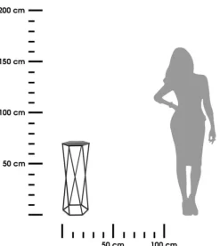 Blomstativ för växter svart 70 cm
