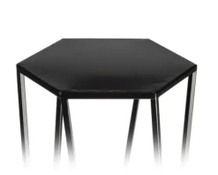 Blomstativ för växter svart 70 cm