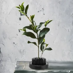 Blomsterarrangemangsverktyg Svart Rund Ikebana Kenzan Plumbum Nål Blomstjärnehållare (46 mm)