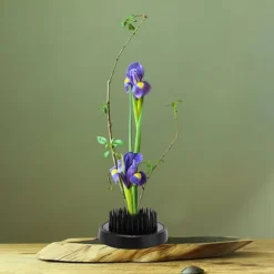 Blomsterarrangemangsverktyg Svart Rund Ikebana Kenzan Plumbum Nål Blomstjärnehållare (46 mm)
