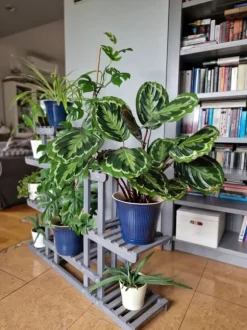 Blomsterlåda i trä 95x116x25 cm, flernivåer, grå, RKB