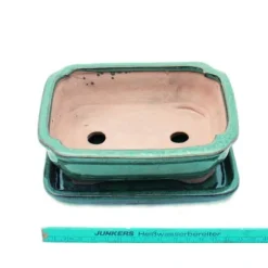 bol bonsai med fat storlek 2 - grön - fyrkantig - modell g12 - l 15,5cm - b 11,5cm - h 4,5cm