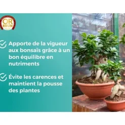 Bonsai gödsel - GULD BRUN - OBRECLBONSAI250 - 250 ml - Förbättrar och främjar tillväxt - Tillverkat i Frankrike
