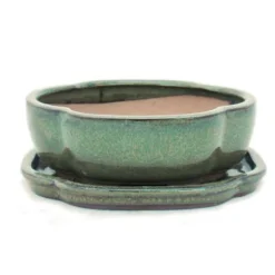 bonsai skål med fat storlek 2 - olivbrun - haitang/oval - modell i5 - l 14,5 cm - b 12,5 cm - h 5 cm