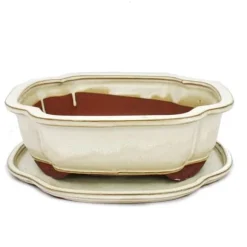 bonsai skål med fat storlek 4 - haitang i4 - ljus beige - l 26cm - b 20,5cm - h 8,5cm