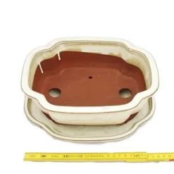 bonsai skål med fat storlek 4 - haitang i4 - ljus beige - l 26cm - b 20,5cm - h 8,5cm