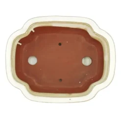 bonsai skål med fat storlek 4 - haitang i4 - ljus beige - l 26cm - b 20,5cm - h 8,5cm