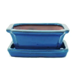 bonsai skål med fat storlek 1 - blå - fyrkantig - modell g13 - l 12cm - b 9,5cm - h 4,5 cm
