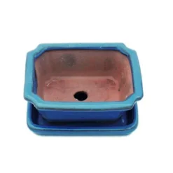 bonsai skål med fat storlek 1 - blå - fyrkantig - modell g13 - l 12cm - b 9,5cm - h 4,5 cm