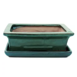 bonsai skål med fat storlek 3 - grön - fyrkantig - modell g29 - l 18cm - l 13cm - l 13cm - h 6cm