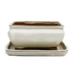 bonsai skål med fat storlek 2 - ljus beige - fyrkantig - modell g81 - l 14,5 cm - b 11,5 cm - h 6,5 cm