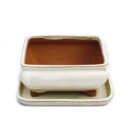 bonsai skål med fat storlek 2 - ljus beige - fyrkantig - modell g81 - l 14,5 cm - b 11,5 cm - h 6,5 cm
