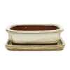 bonsai skål med fat storlek 2 - rektangulär g12 - ljus beige - l 15,5 cm - b 12 cm - h 4,5 cm