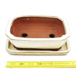 bonsai skål med fat storlek 2 - rektangulär g12 - ljus beige - l 15,5 cm - b 12 cm - h 4,5 cm