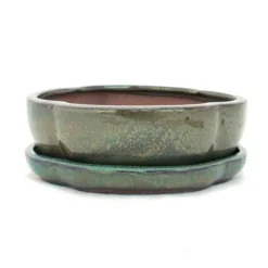 bonsai skål med fat storlek 3 - grön - haitang/oval - modell i5 - l 17cm - b 14cm - h 5,5cm