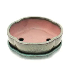 bonsai skål med fat storlek 3 - grön - haitang/oval - modell i5 - l 17cm - b 14cm - h 5,5cm