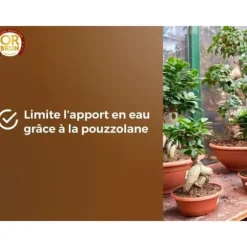 Bonsaijord - OR BRUN - OBRTBON6U - 6L - Bästa rotning