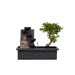 Bonsaiträd - Bonsai - Höjd 25-35cm - ⌀29cm