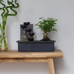 Bonsaiträd - Bonsai - Höjd 25-35cm - ⌀29cm