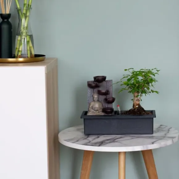 Bonsaiträd - Bonsai - Höjd 25-35cm - ⌀29cm