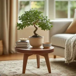 Bonsaiträd S-formad - Zelkova serrata - Höjd 20-25cm - ⌀15cm