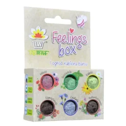 Box med fröbomber – 6-pack för färgstarka blommor och örter